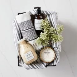 Safavieh Store -Safavieh Store GUEST 12b1a04f 94a3 449c 8e53 d5e6f9aa2130