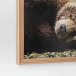 20" X 16" Bear Photography Framed Art Brown - Threshold™ -Safavieh Store GUEST 8d29808a 8d0a 4121 a8c8 64d15cc45658