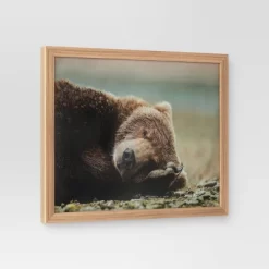 20" X 16" Bear Photography Framed Art Brown - Threshold™ -Safavieh Store GUEST bdd5f4cc 4d39 4967 a892 83937e1fe495