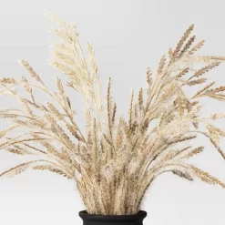 Grass Arrangement In Ceramic Pot Black - Threshold™ 8 Grass Arrangement In Ceramic Pot Black - Threshold™ -Safavieh Store GUEST cbf73334 5a06 41bb b5dd f3e7db59aec5