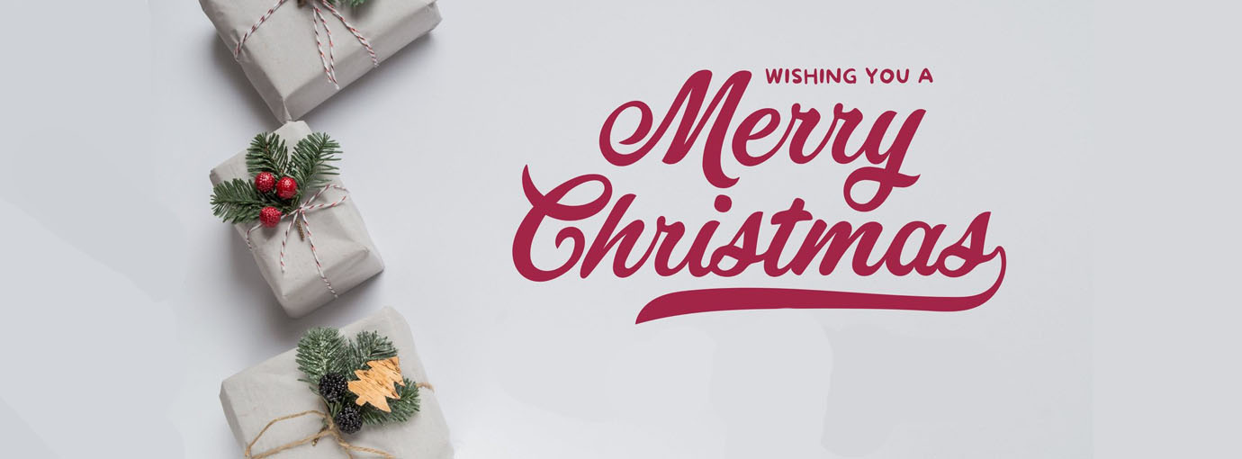 Safavieh Store -Safavieh Store 156